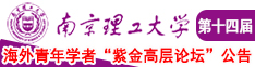 操孕妇b的视频南京理工大学第十四届海外青年学者紫金论坛诚邀海内外英才！